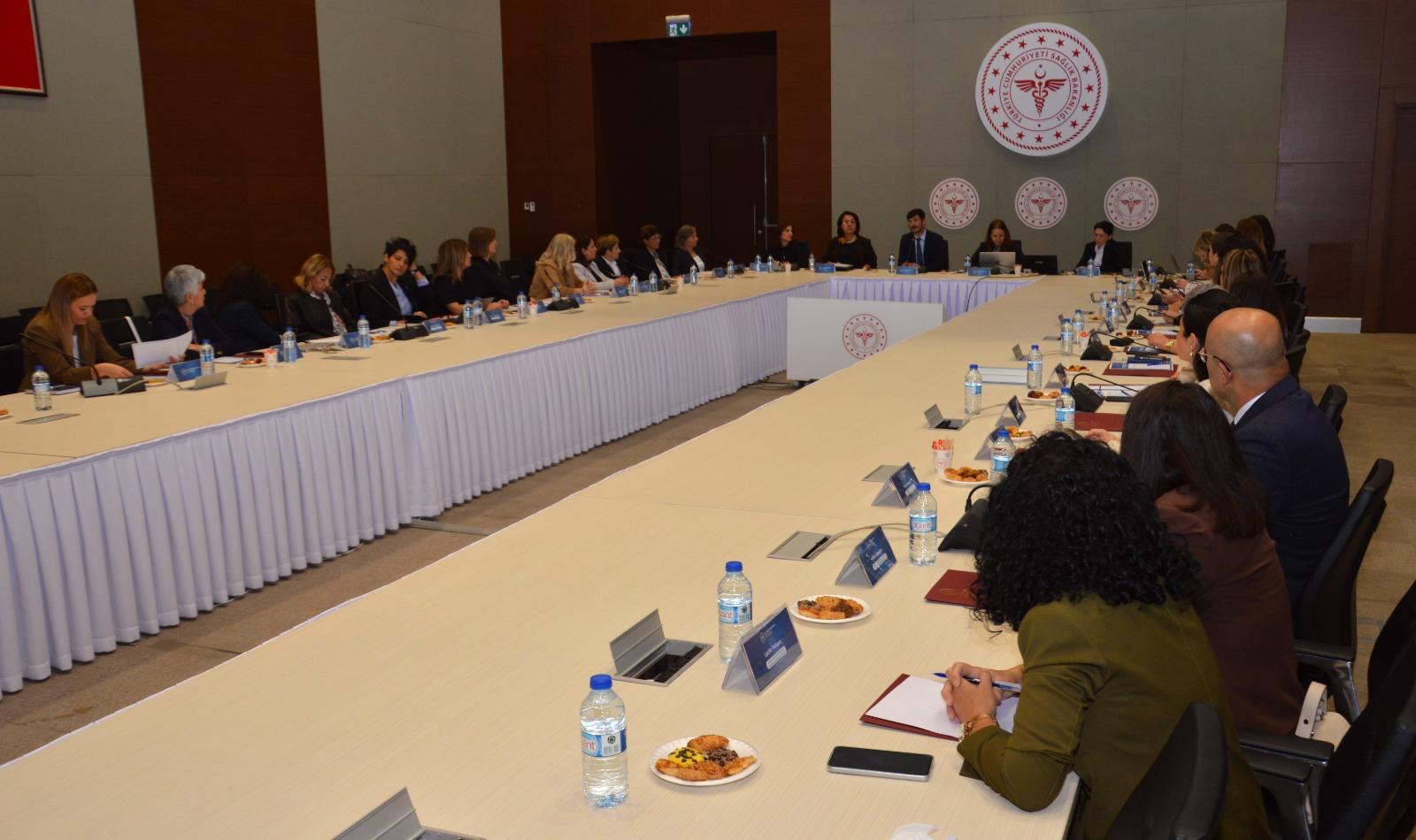 HEPDAK, Sağlık Bakım Hizmetlerini Güçlendirme ve Geliştirme Komisyonunda Yer Aldı